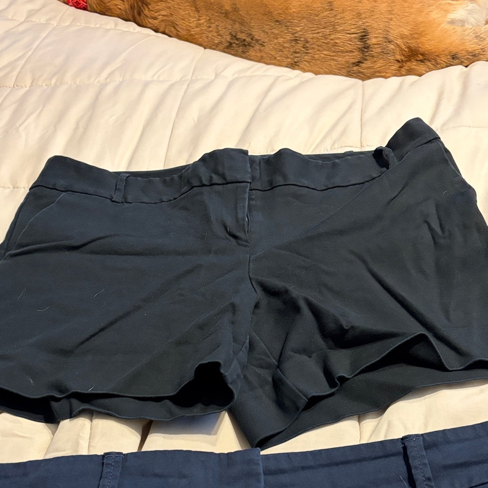 New York & Company Black Shorts